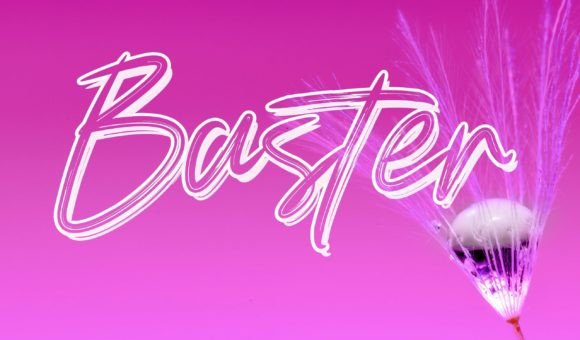 Baster: A Bold Brushed Handwritten Font for Brands