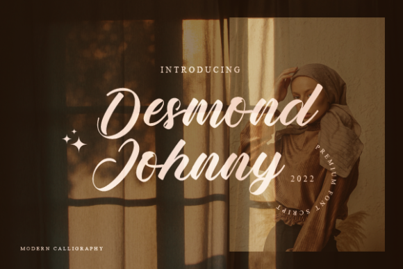 Desmond Johnny: A Review for Campaign Designers