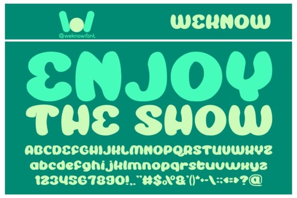 Enjoy the Show: A Chic Display Font for Web Design and Digital Branding