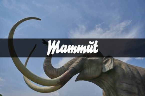 Mammut: A Paint Brushed Handwritten Font for Modern Branding